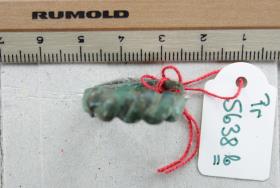 Fingerring