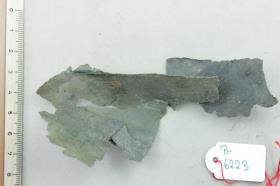 Bronzeschalenfragment