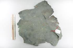 Bronzeschalenfragment