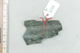 Bronzeschalenfragment