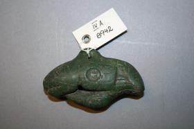 Walfisch und Vogelkopf