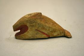 Knochenfisch