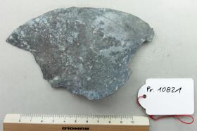 Bronzeschalenfragment