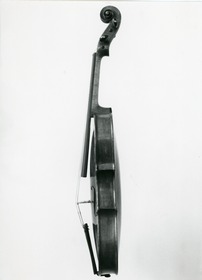 Violine