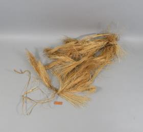 odak