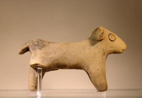 Rind (Stier)