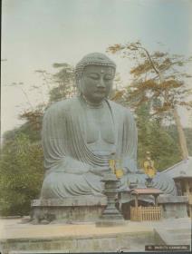 Der Große Buddha in Kamakura 鎌倉大仏