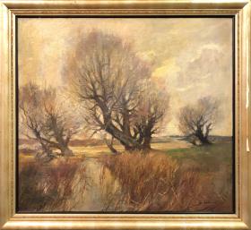 Weiden im Vorfrühling