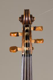 Violine