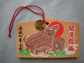 Ema: Wildschweingruppe