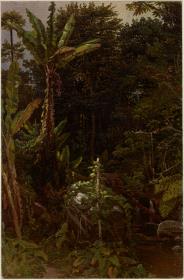 Lechosa und Plantanosbäume mit einem Arum im Vordergrund