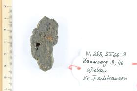Baumsargreste