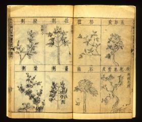 Li  Bencao gangmu  本立堂    本草綱目, Heft 3