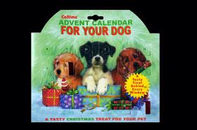 For your dog