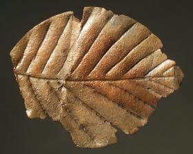 Blatt aus Blech