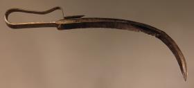 Strigilis