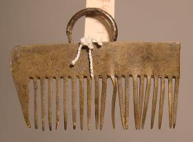Fragmentierter Kamm