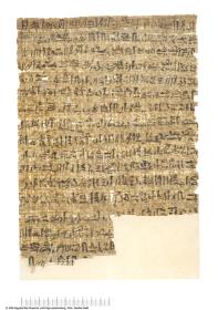 Hieratischer Papyrus mit dem Protokoll einer Inspektion von Gräbern
