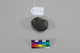 "Muschelform"