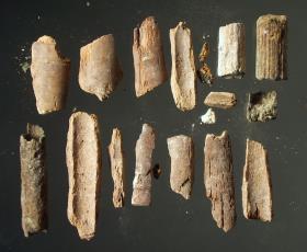 Fragmente einer hölzenen Flöte mit bronzenem Beschlag