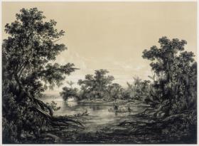 „Aus den Urwäldern des Magdalenenstroms“, (Buch mit 13 Blatt Lithographien), Blatt 9