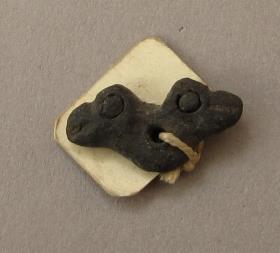 doppelter Vogelkopf